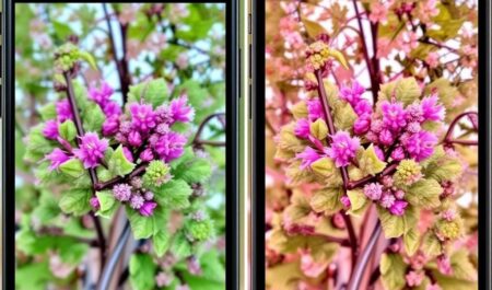 Камеры смартфонов: сравнение технологий и качества съёмки